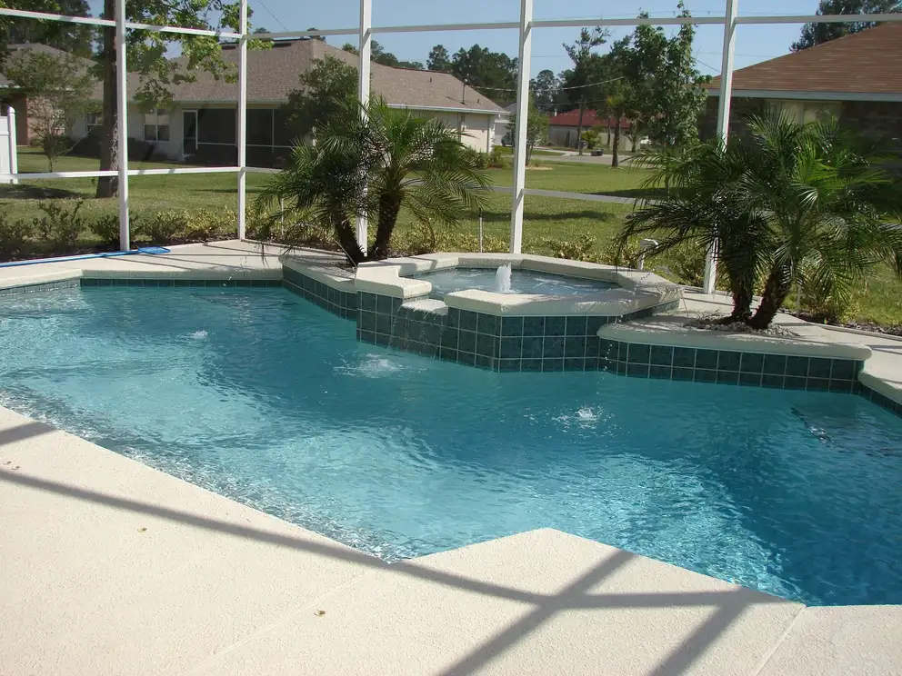 A screened pool with a raised spa and two palms